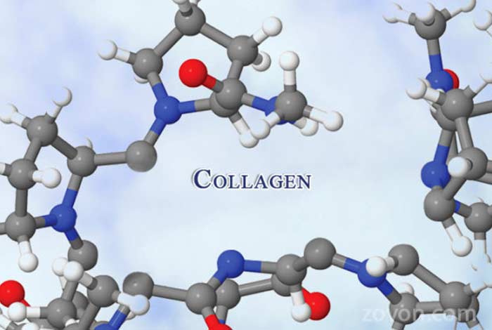 collagen structure products side effects & faqs