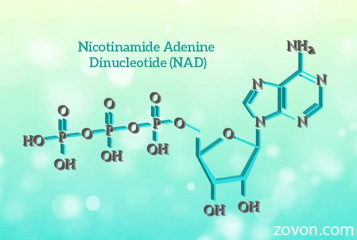 nicotinamide adenine dinucleotide nad sources functions side effects & faqs