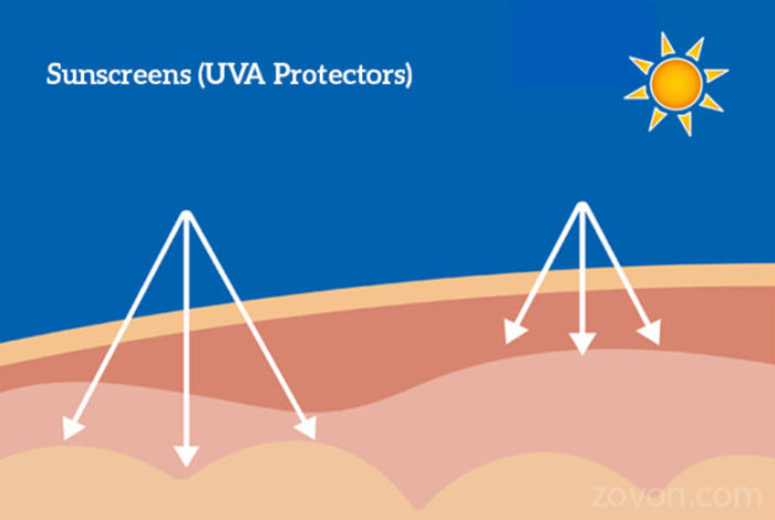 sunscreens uva protectors types benefits & side effects