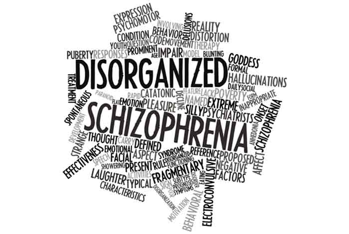 blockage in brains communication network result of schizophrenia