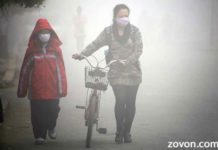 bones too are affected by smog study says