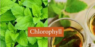 chlorophyll sources uses side effects & faqs