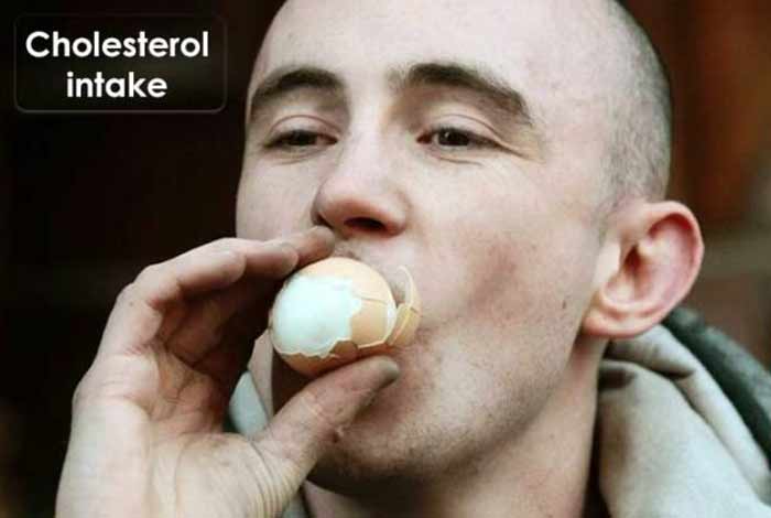 cholesterol intake