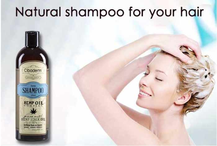 cibaderm shampoo