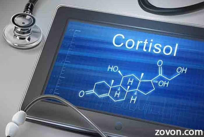 day long cortisol level consistency may affect your health