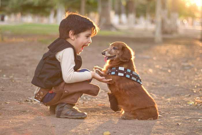 dogs can lower symptoms of asthma and reduce eczema risk in children