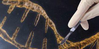 gene editing could help fight against various deadly diseases