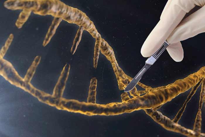 gene editing could help fight against various deadly diseases