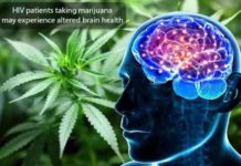 hiv patients taking marijuana may experience altered brain health