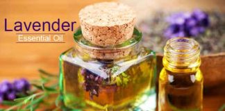 lavender essential oil benefits side effects & faqs