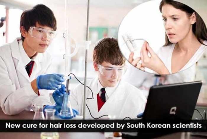 new cure for hair loss developed by south korean scientists
