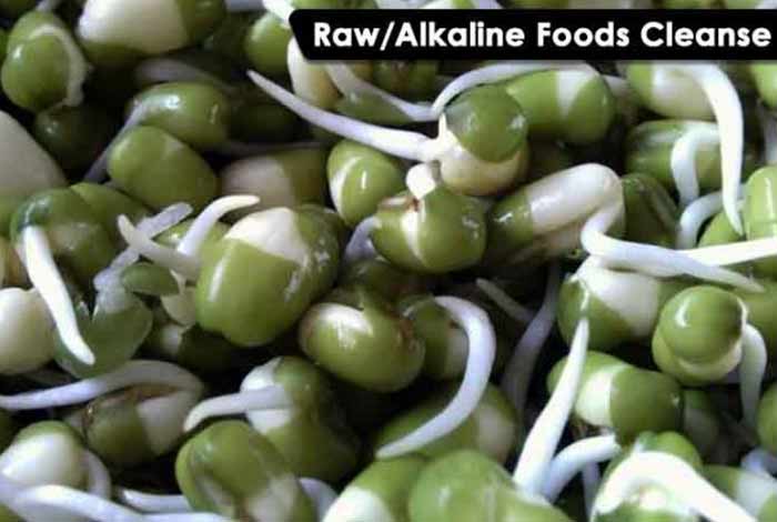raw alkaline foods cleanse