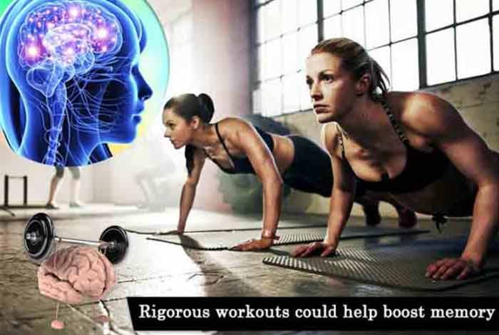 rigorous workouts could help boost memory