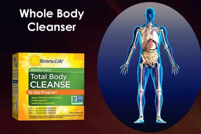 whole body cleanser
