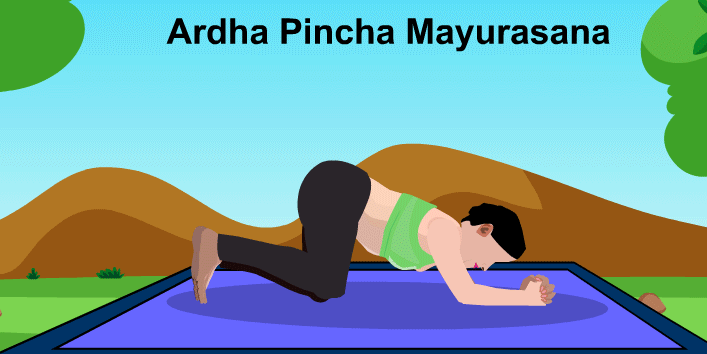 Ardha Pincha Mayurasana