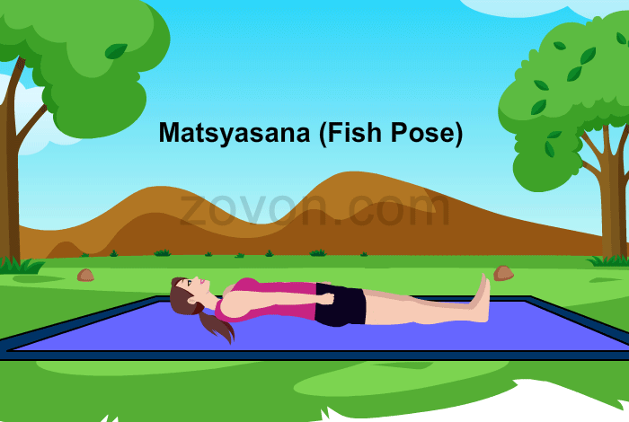 Matsyasana Fish Pose