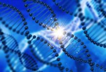 27 new genes discovered that could halt cancel