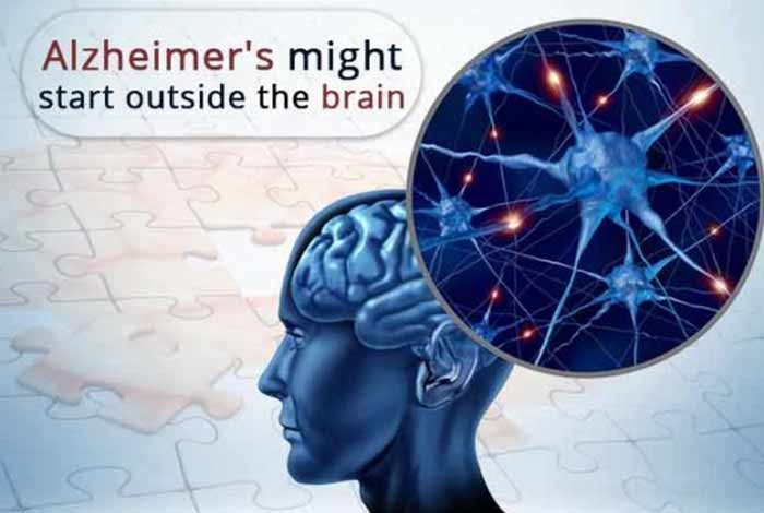 alzheimers disease might start outside the brain