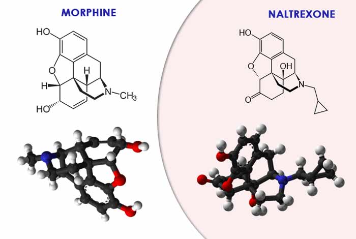 morphine and naltrexone