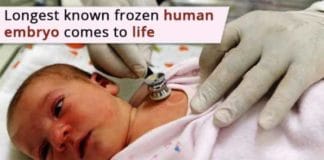 longest known frozen human embryo comes to life