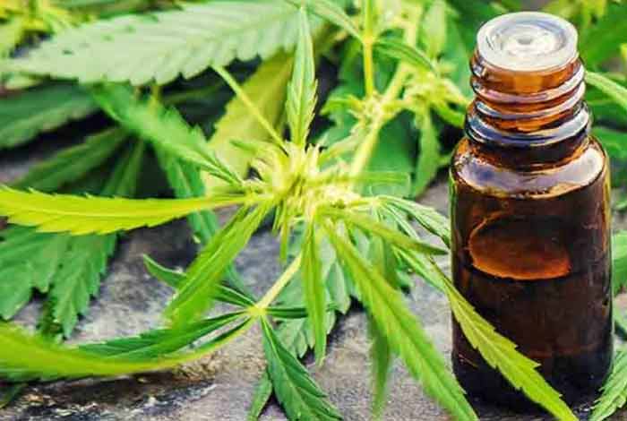 how is cbd oil made