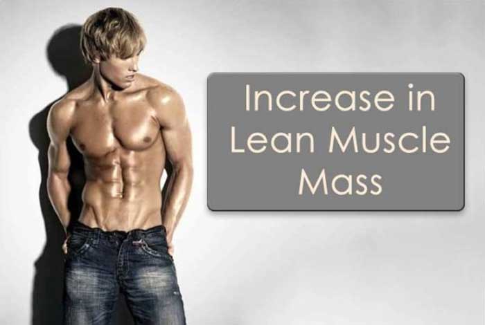  increased lean muscle mass