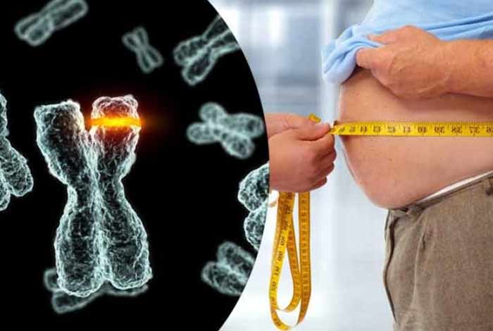 obesity linked to newly discovered mutation in gene offering new possibilities for treatment