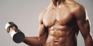 the abc of muscle building