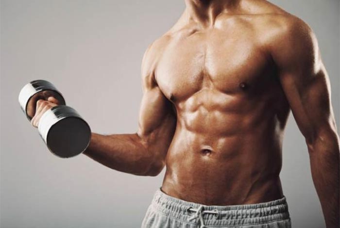 the abc of muscle building