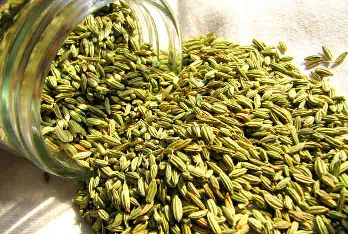 Fennel seeds for Indigestion- Grandma's Solutions (Natural Way)
