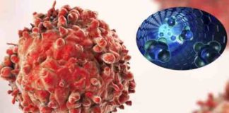 dna nanorobots programmed to combat cancer by searching and destroying tumors
