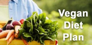 vegan diet plan go organic