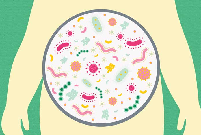 Want Healthy Bacteria in Your Gut Diet Is the key