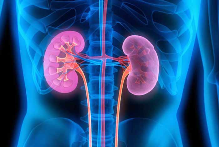 chronic kidney disease causes symptoms diagnosis and treatment
