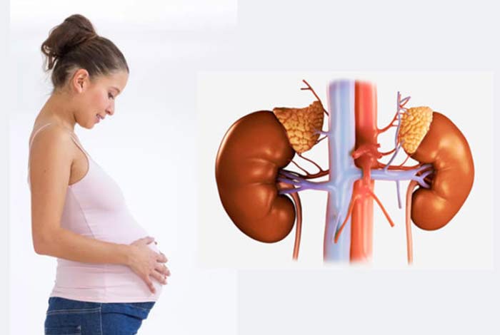 ckd and pregnancy