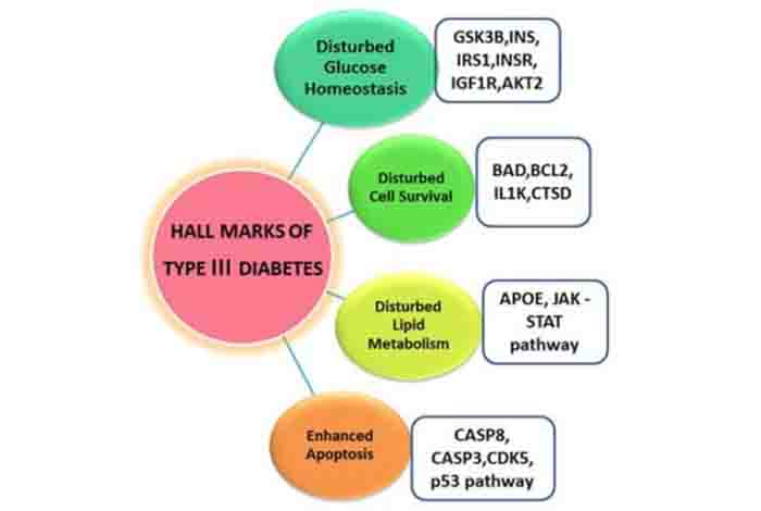 diagnostic criteria for type 3c diabetes 