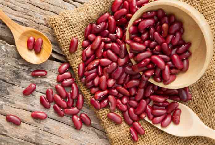 Should You Really Be Worried About Including Lectins in Your Diet