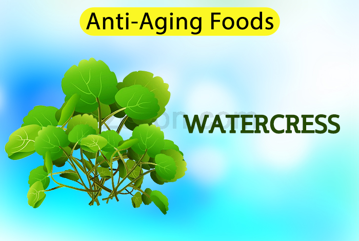watercress to delay aging