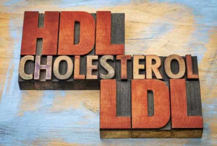 dl vs hdl cholesterol which one Is good for your health