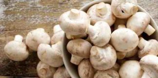 these amazing mushroom supplements will make you feel better without getting you high