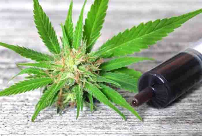 why cannabidiol is becoming so popular even if it doesnt get you high