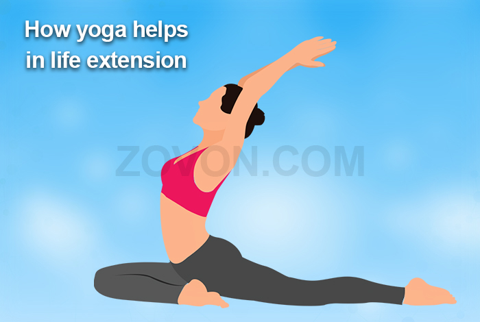 yoga helps in life extension