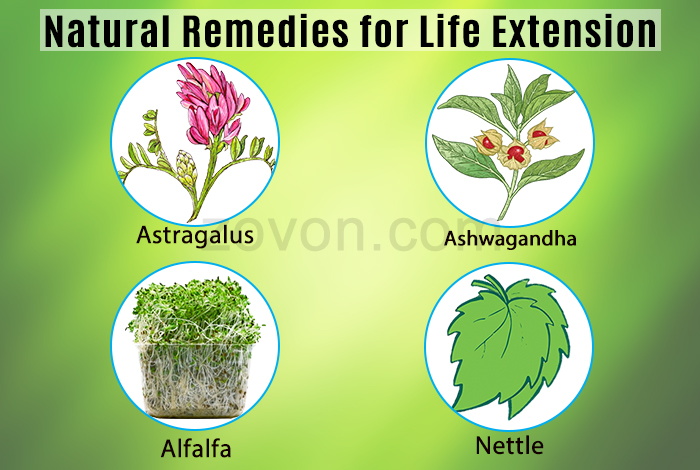 natural remedies for life extension 