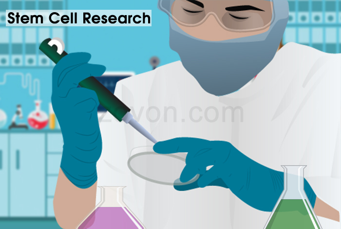 stem cell research to delay aging