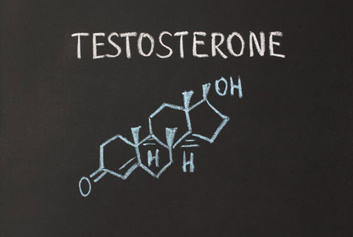 Maintaining Testosterone Balance Before and After Menopause
