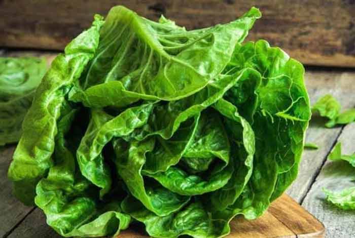 romaine lettuce linked e coli outbreak makes Its way to new U.S states
