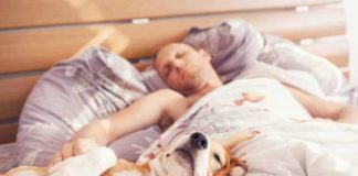 sleeping with your dog is not that great latest study reports