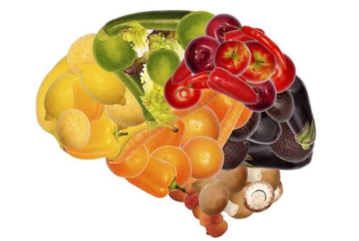 what you eat can affect the size of your brain