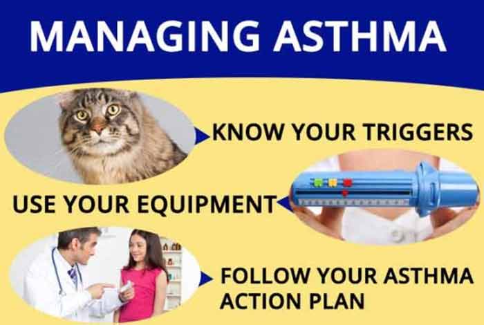 world asthma day objectives