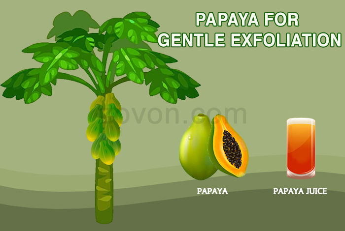 papaya for anti aging